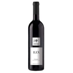 DOMAINE TERRES D'HACHENE ILEX
