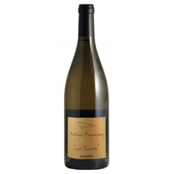 DOMAINE ANTOINE SANZAY...