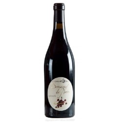 DOMAINE DE NOIRE CHINON...