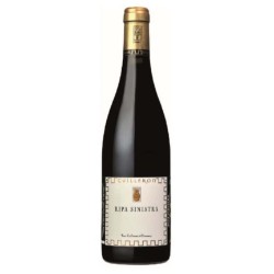 CAVE YVES CUILLERON - IGP...
