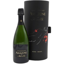 CHAMPAGNE PALMER & CO AMAZONE - COFFRET NOIR