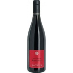 DOMAINE PASCAL BERTHIER -...