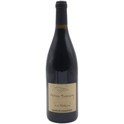 DOMAINE ANTOINE SANZAY...
