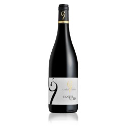 DOMAINE CAILHOL GAUTRAN...
