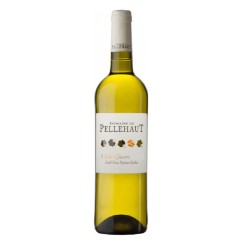 DOMAINE DE PELLEHAUT L'ETE...