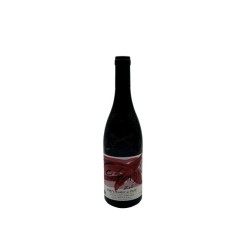 DOMAINE ISABEL FERRANDO...