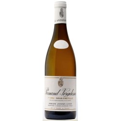 DOMAINE GUYON...