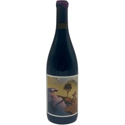 DOMAINE BERGUEROLLES BACK...