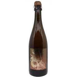 DOMAINE ERIC BORDELET SIDRE BRUT