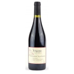 DOMAINE LE SOULA - TRIGONE