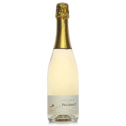 DOMAINE DE PELLEHAUT