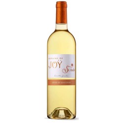 DOMAINE DE JOY SAINT-ANDRE...