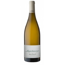 DOMAINE DE PELLEHAUT...