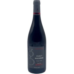 DOMAINE GUEGUEN IRANCY