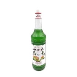 MONIN KIWI