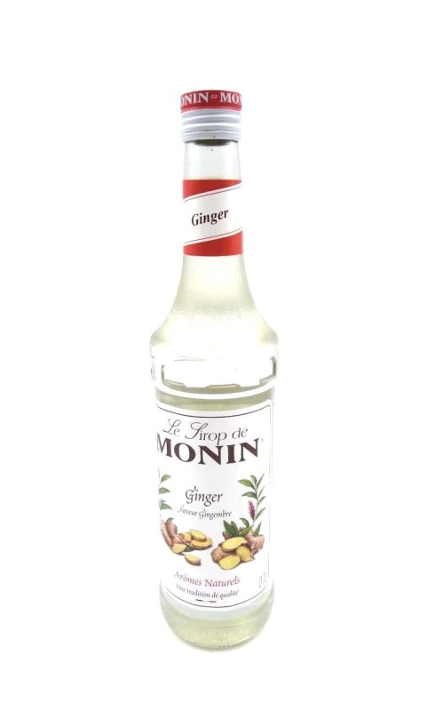 MONIN GINGEMBRE