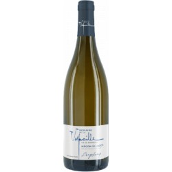DOMAINE DE LA VERPAILLE...