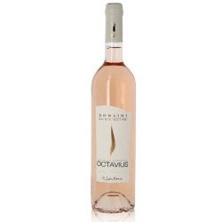 DOMAINE SAINTE OCTIME OCTAVIUS