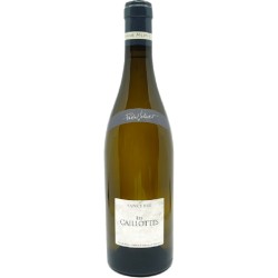 DOMAINE PASCAL JOLIVET -...