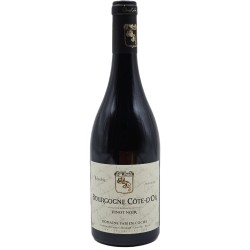 DOMAINE FABIEN COCHE...