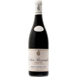 DOMAINE GUYON CORTON...