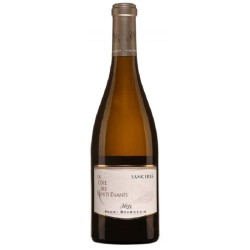 DOMAINE HENRI BOURGEOIS...