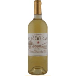 CHATEAU DE ROCHE CAVE