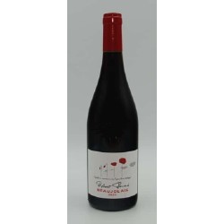 DOMAINE ROBERT PERROUD -...