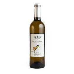DOMAINE BRANA IROULEGY...