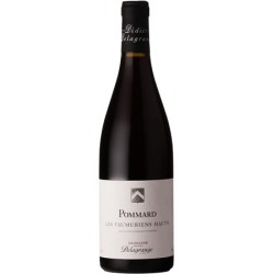 DOMAINE HENRI DELAGRANGE...