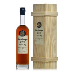 ARMAGNAC DELORD BAS-ARMAGNAC HORS D'AGE
