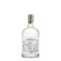 DOMAINE BRANA - GIN AU CITRON VERT