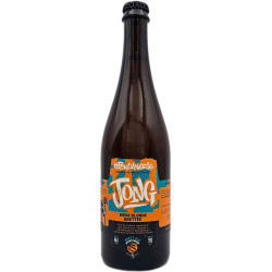 bière Brasserie du Pays Flamand Wilde Leeuw Jong - BRASSERIE DU PAYS FLAMAND