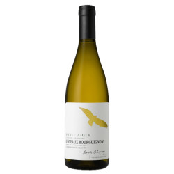Domaine Boris Champy "Petit...