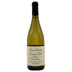 Domaine Jean-Paul Brun -...