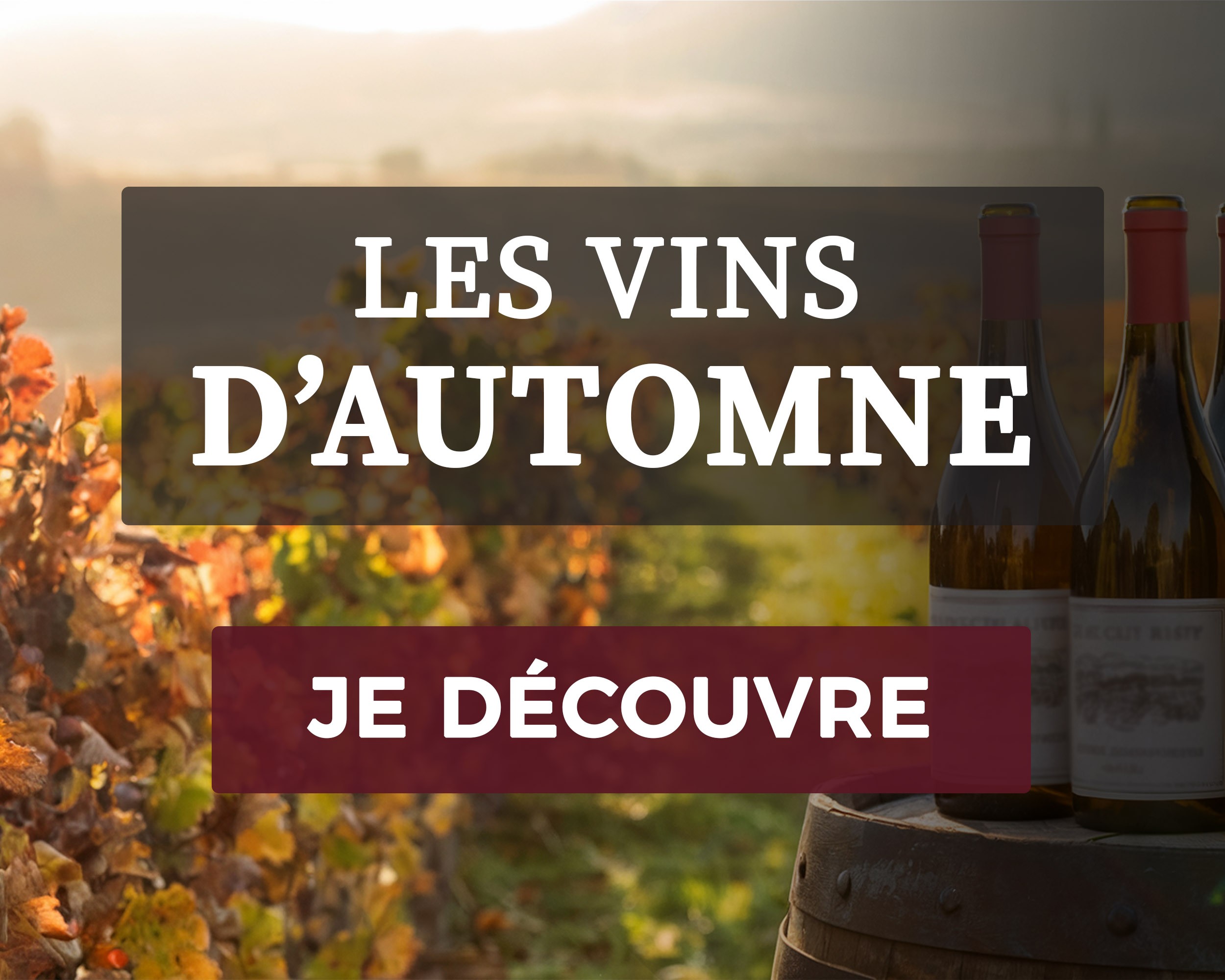 Notre sélection vins d'Automne